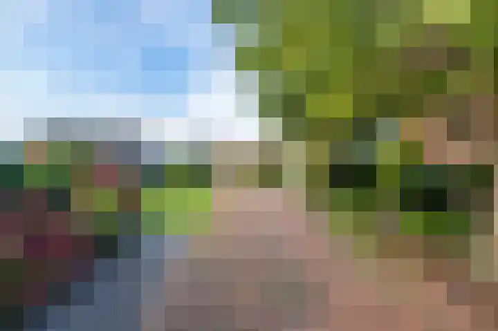 Tuinstraat 8 b Wellerlooi thumbnail 32
