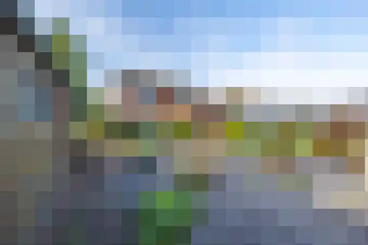 Tuinstraat 8 b Wellerlooi thumbnail 33
