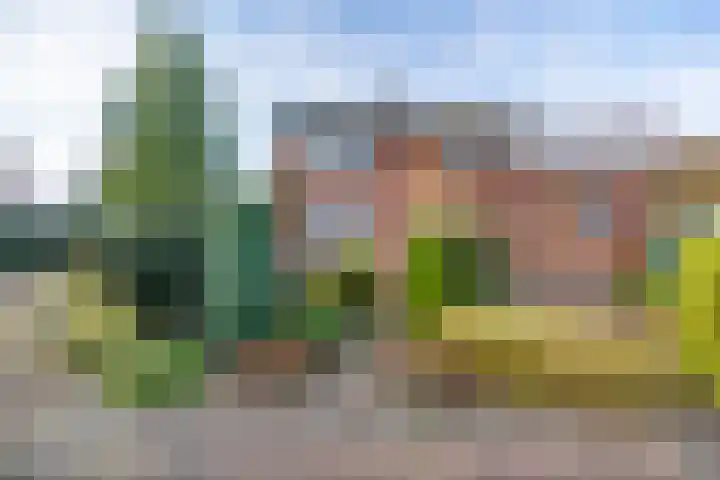 Tuinstraat 8 b Wellerlooi thumbnail 34