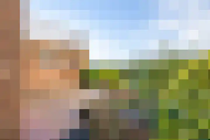 Tuinstraat 8 b Wellerlooi thumbnail 35