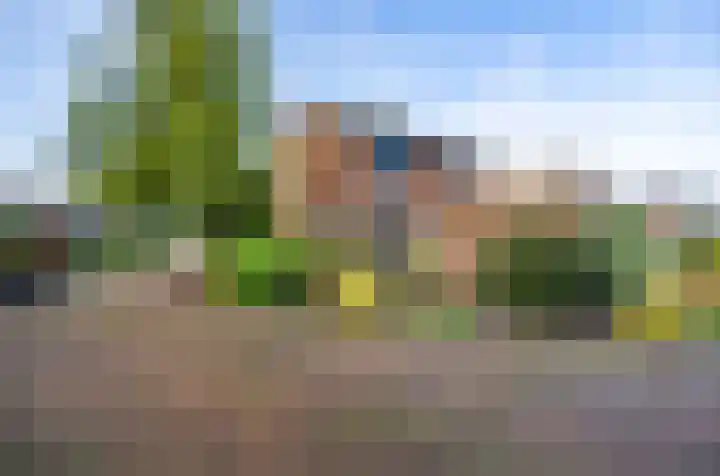 Tuinstraat 8 b Wellerlooi thumbnail 36