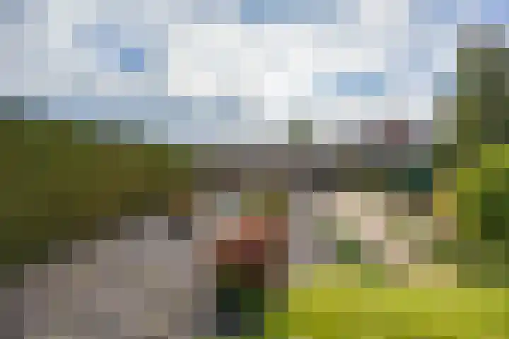 Tuinstraat 8 b Wellerlooi thumbnail 37