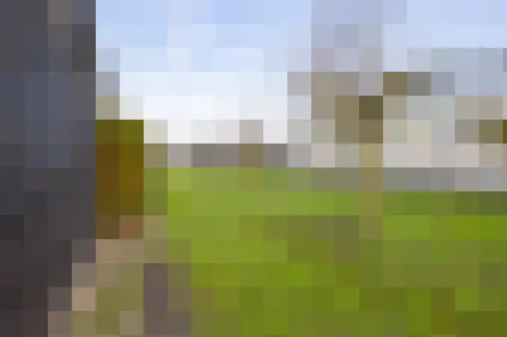 Tuinstraat 8 b Wellerlooi thumbnail 38