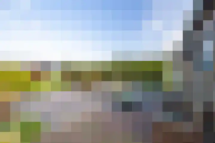 Tuinstraat 8 b Wellerlooi thumbnail 39
