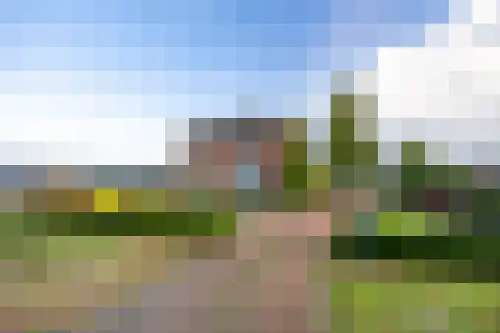 Tuinstraat 8 b Wellerlooi thumbnail 4