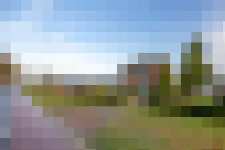 Tuinstraat 8 b Wellerlooi thumbnail 43