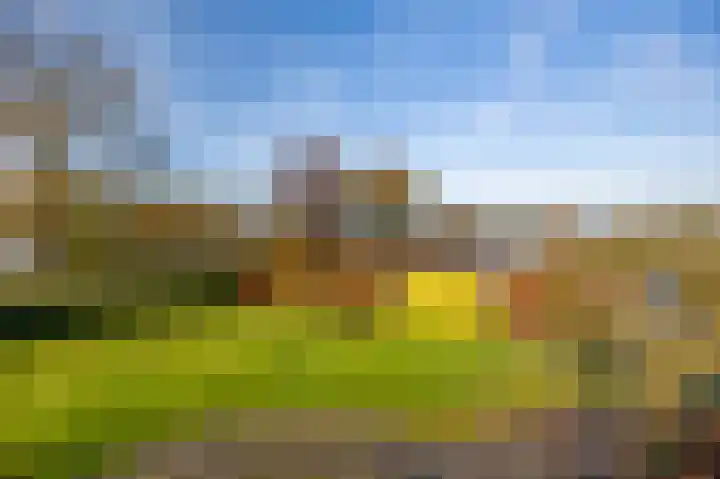 Tuinstraat 8 b Wellerlooi thumbnail 44