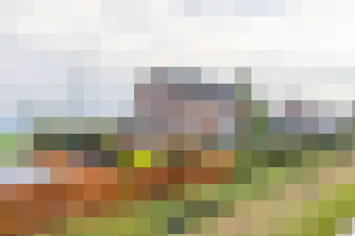 Tuinstraat 8 b Wellerlooi thumbnail 5