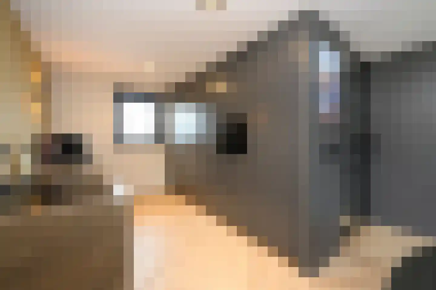 Tuinstraat 8 Brummen thumbnail 11