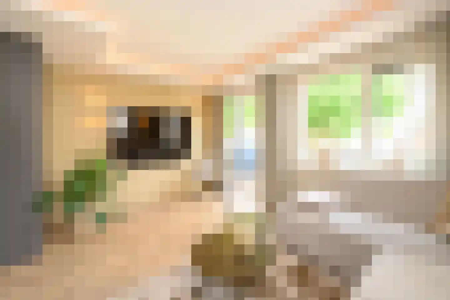 Tuinstraat 8 Brummen foto 3