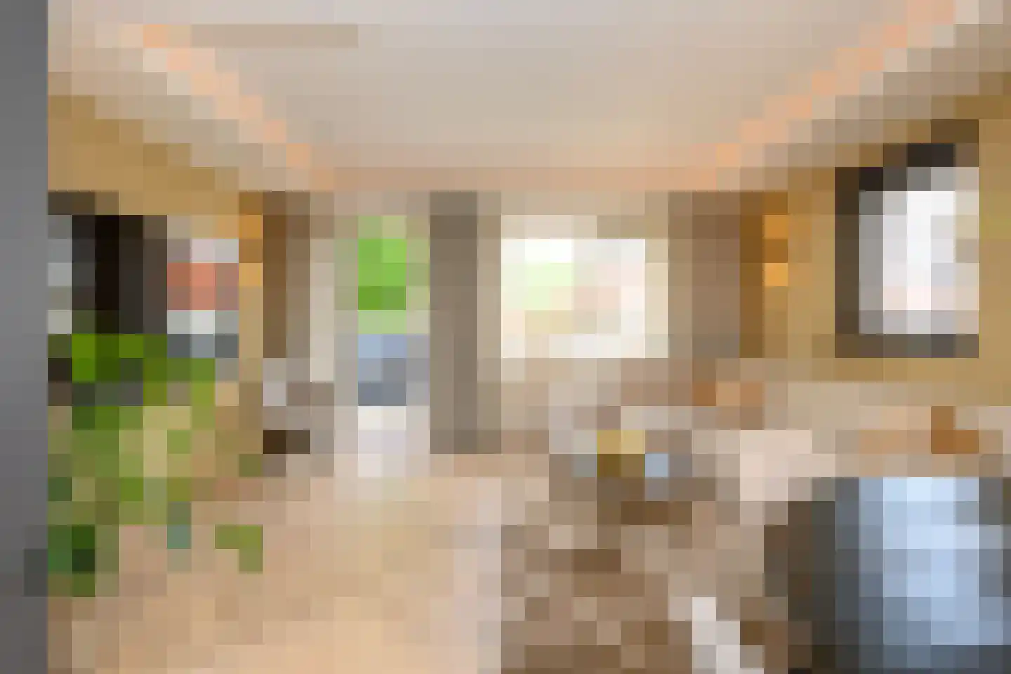 Tuinstraat 8 Brummen thumbnail 4