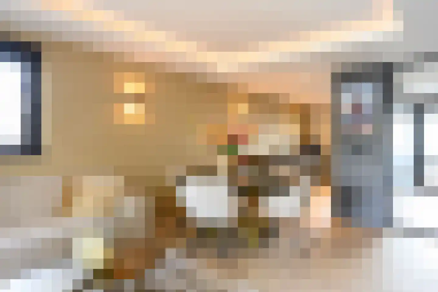 Tuinstraat 8 Brummen thumbnail 8