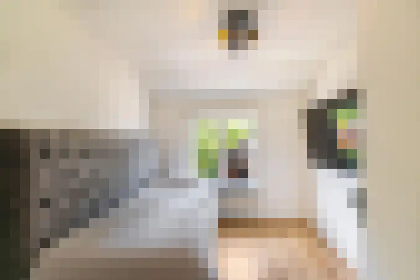 Tuinstraat 8 Ezinge thumbnail 18