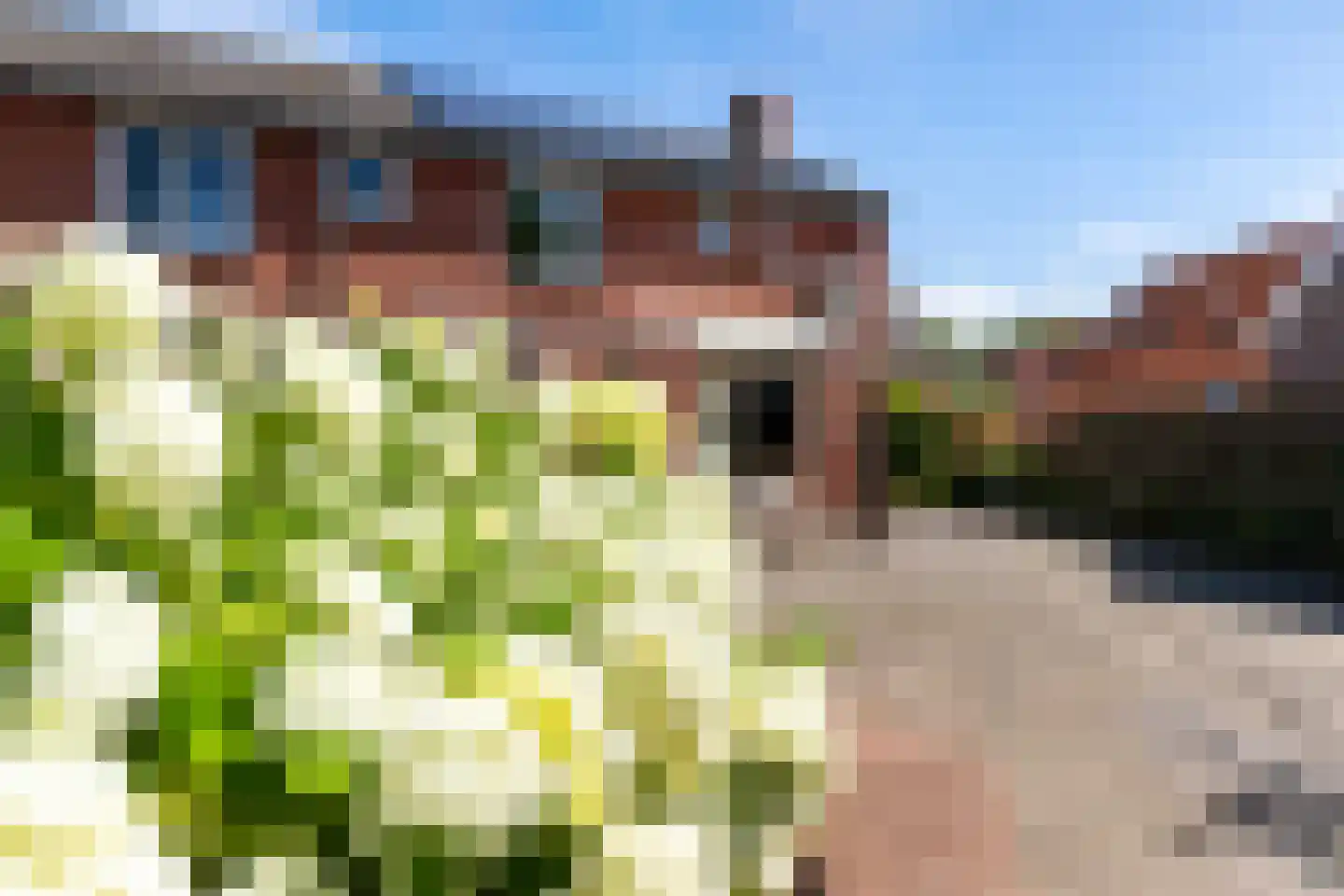 Tuinstraat 8 Ezinge thumbnail 23