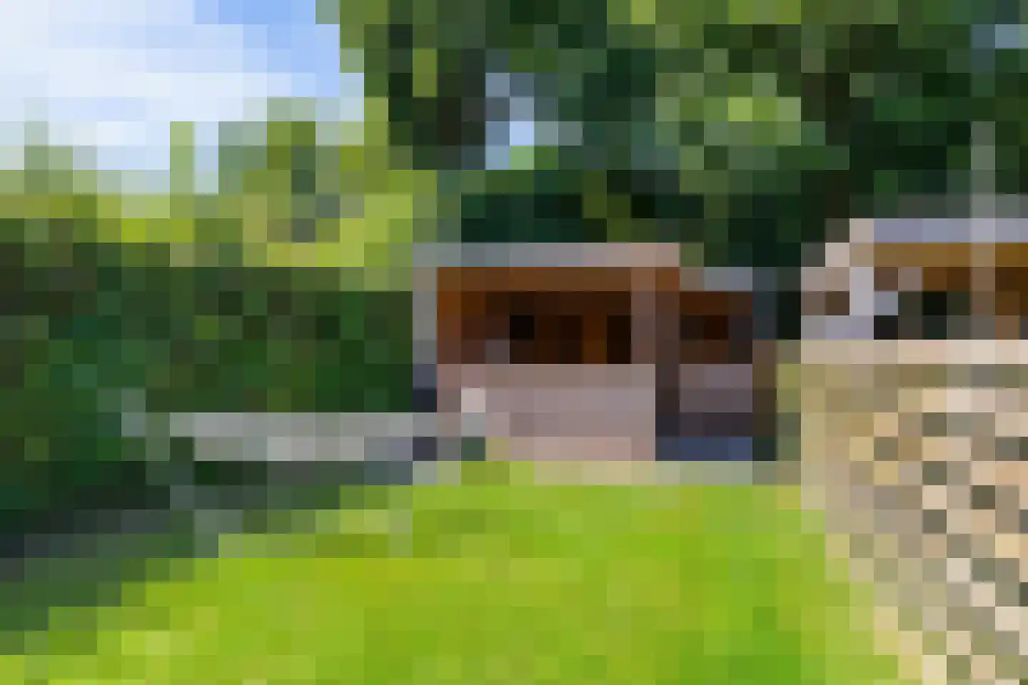 Tuinstraat 8 Ezinge foto 3