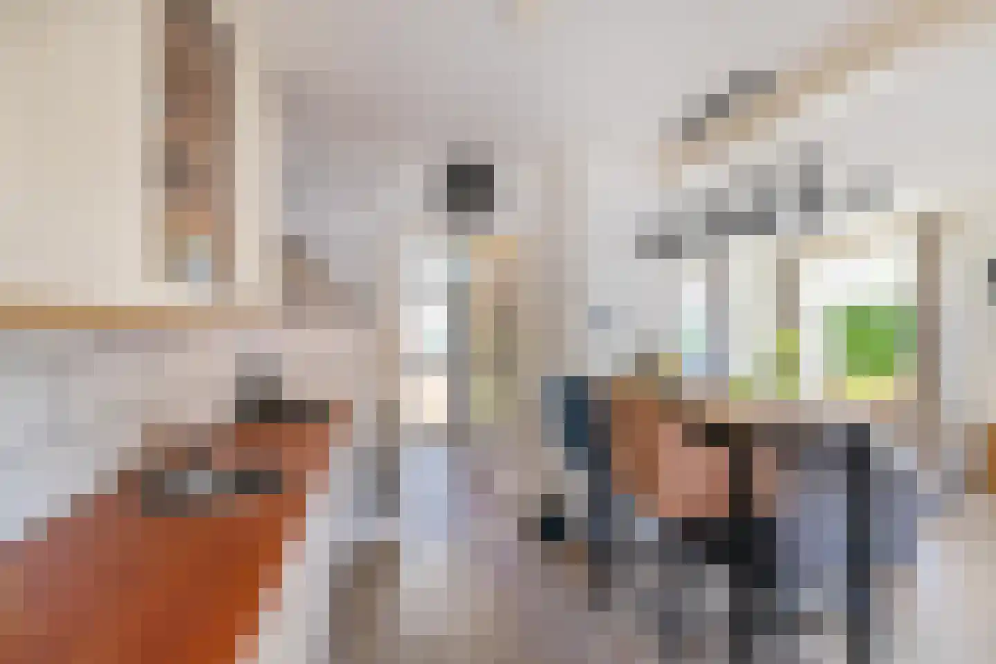 Tuinstraat 8 Ezinge thumbnail 8