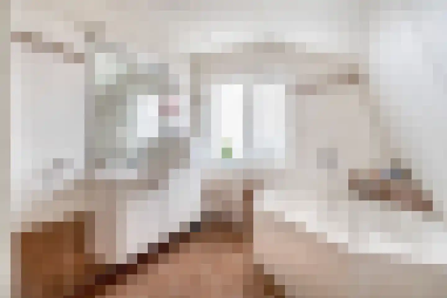 Tuinstraat 8 Sommelsdijk thumbnail 21
