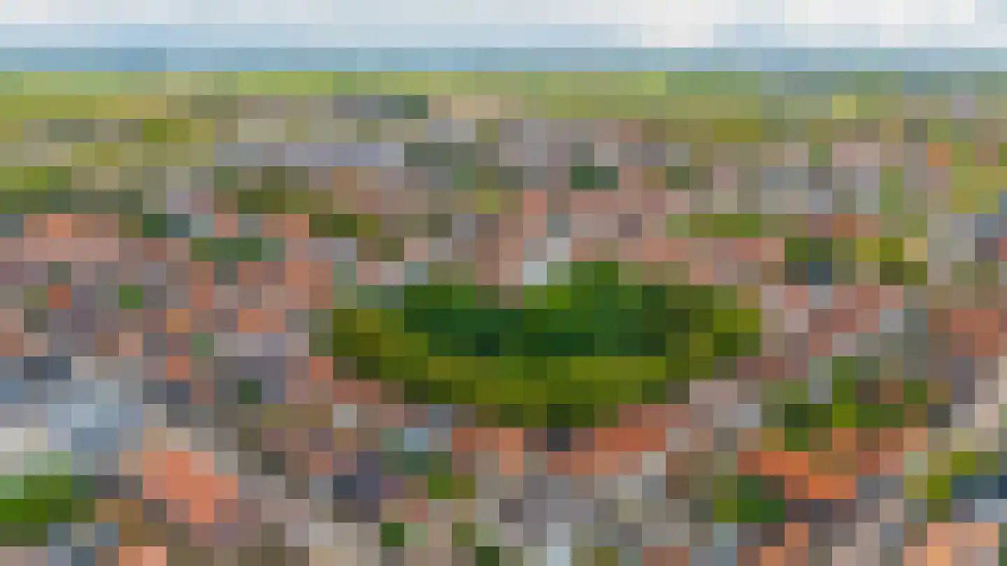 Tuinstraat 8 Sommelsdijk thumbnail 31