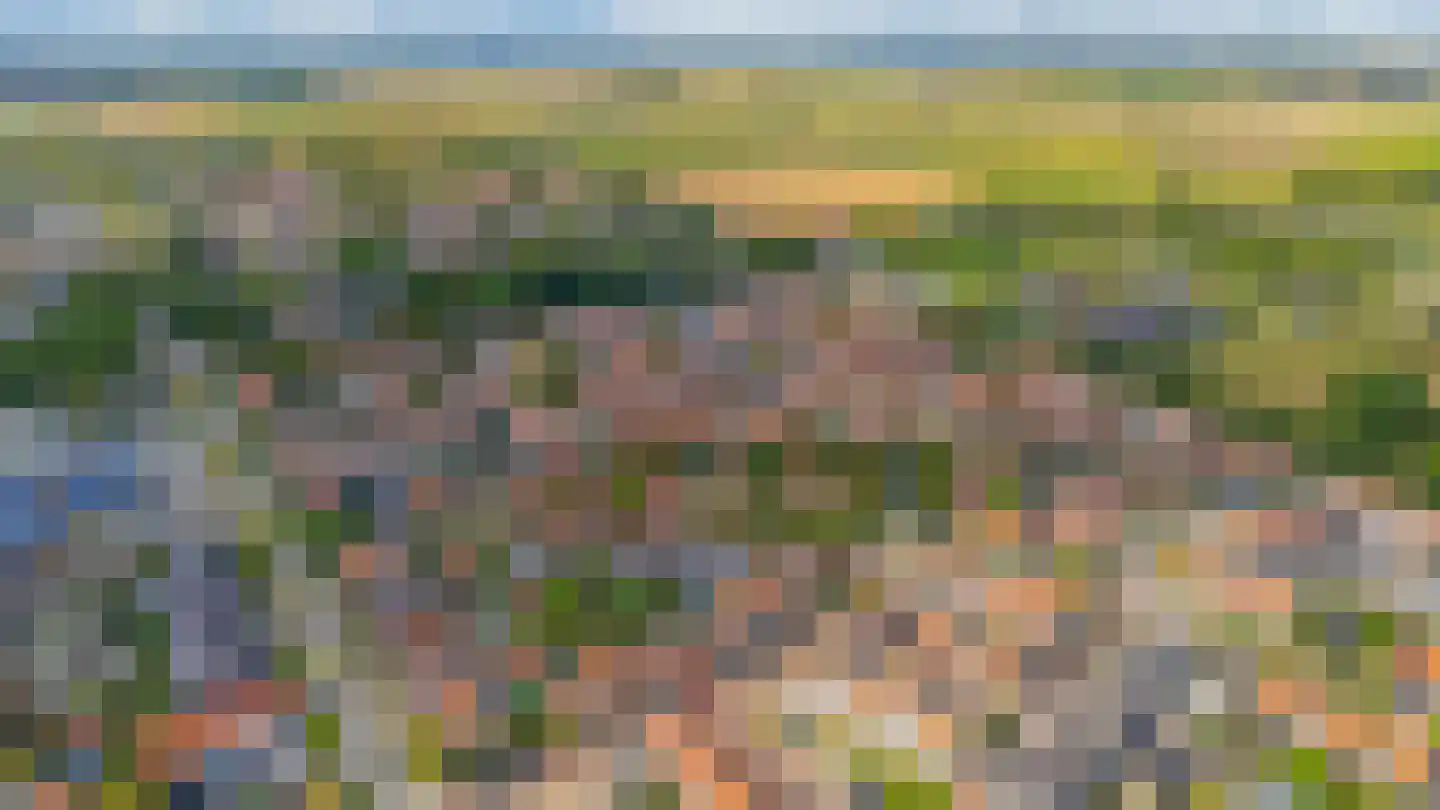 Tuinstraat 8 Sommelsdijk thumbnail 32