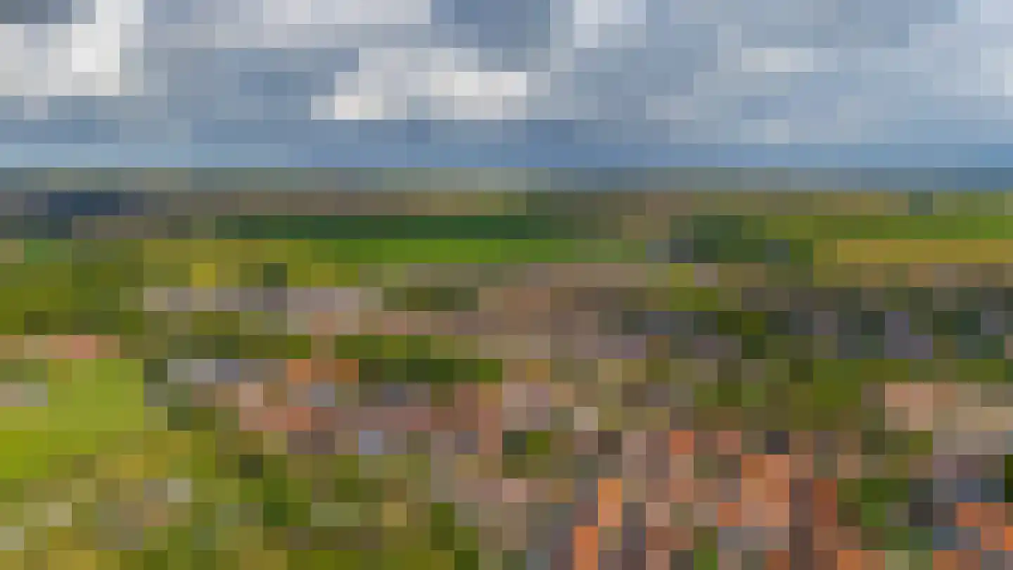 Tuinstraat 8 Sommelsdijk thumbnail 33