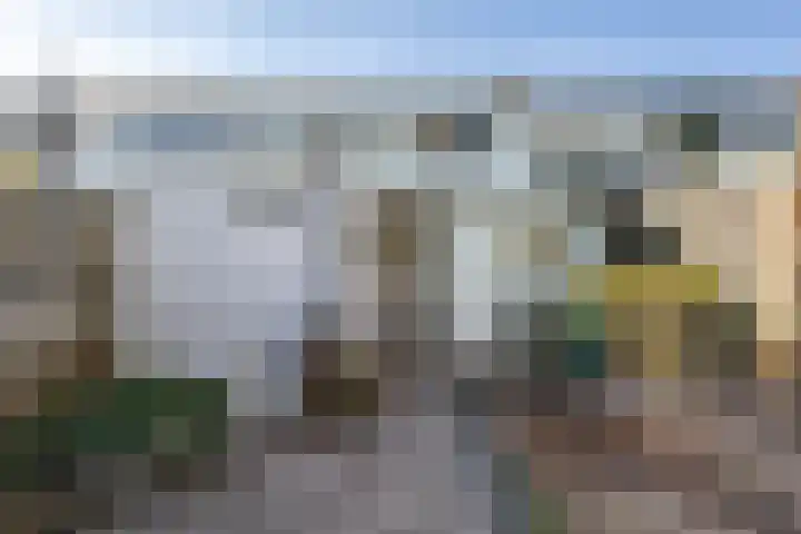 Tuinstraat 80 Dirksland thumbnail 22