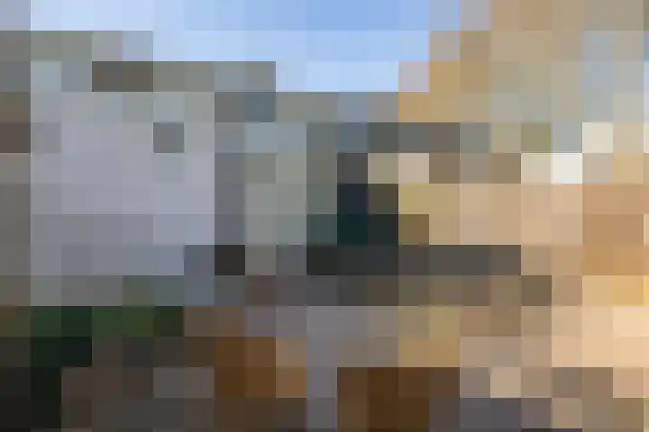 Tuinstraat 80 Dirksland thumbnail 23