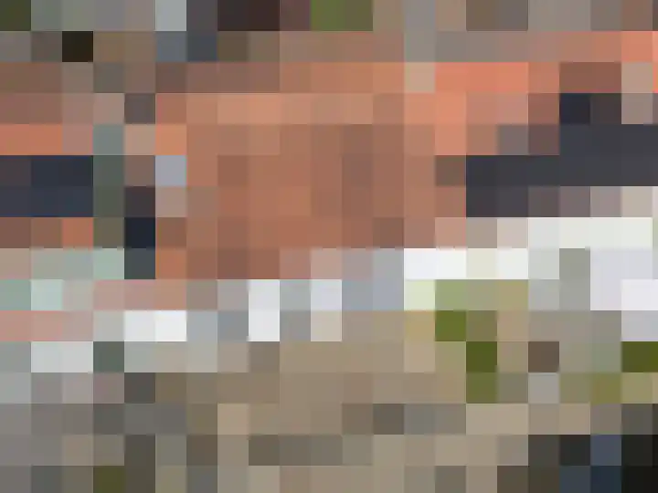 Tuinstraat 80 Dirksland thumbnail 25