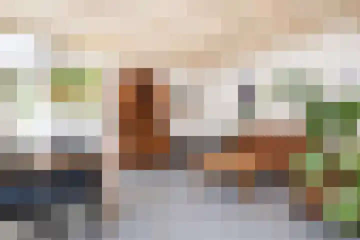 Tuinstraat 80 Dirksland thumbnail 5