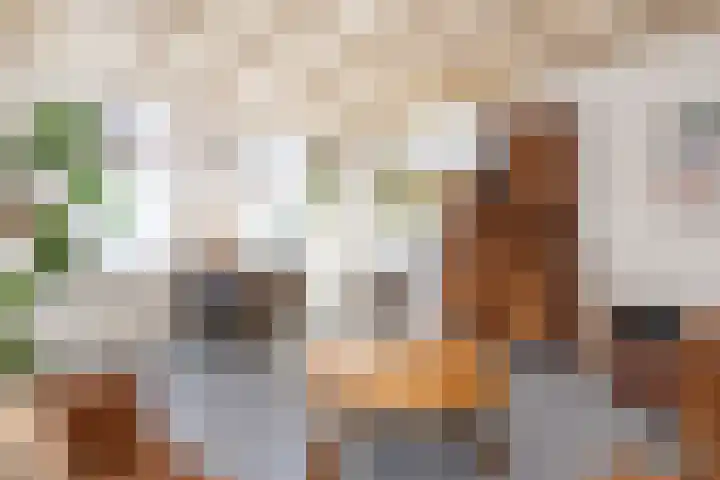 Tuinstraat 80 Dirksland thumbnail 8