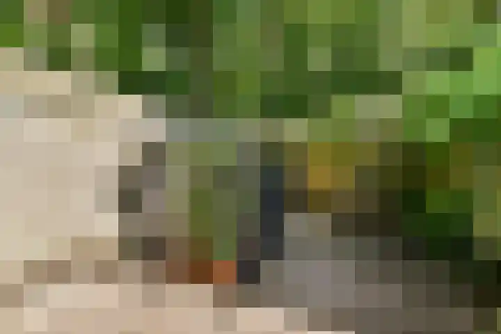 Tuinstraat 81 Gouda thumbnail 17