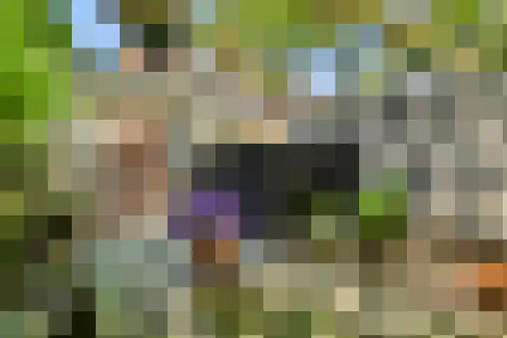 Tuinstraat 81 Gouda thumbnail 18