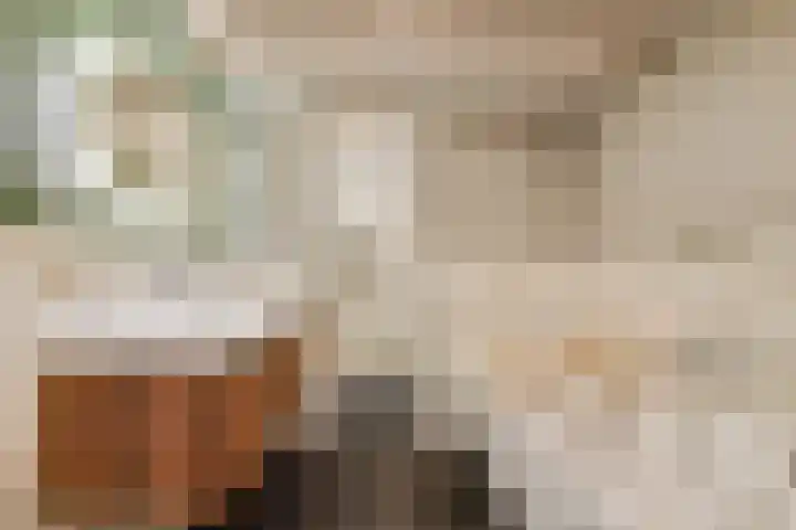 Tuinstraat 81 Gouda thumbnail 19
