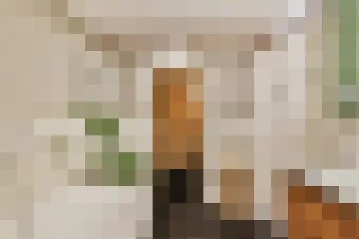 Tuinstraat 81 Gouda thumbnail 20