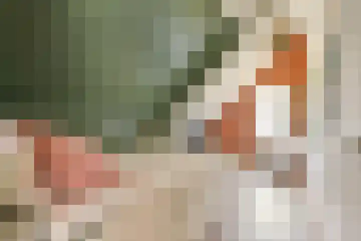 Tuinstraat 81 Gouda thumbnail 27