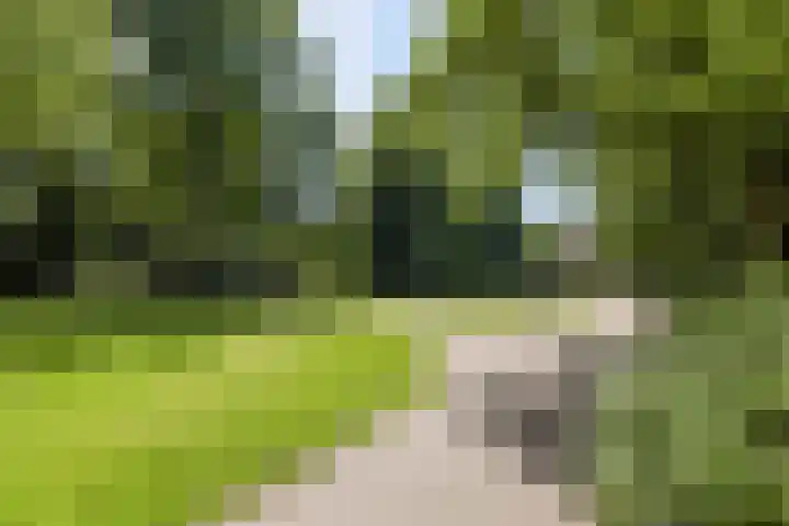 Tuinstraat 81 Gouda thumbnail 37