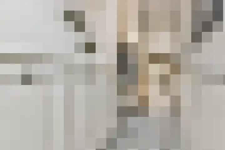 Tuinstraat 81 Gouda thumbnail 4