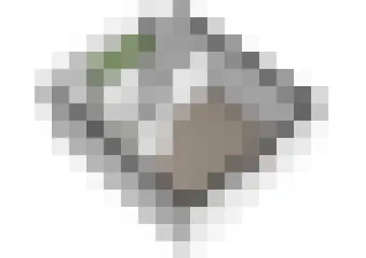 Tuinstraat 81 Gouda thumbnail 44