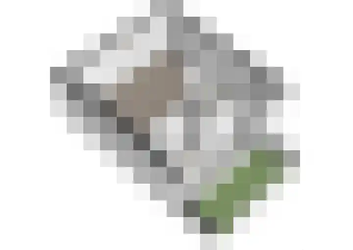 Tuinstraat 81 Gouda thumbnail 45