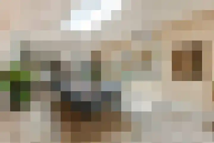 Tuinstraat 81 Gouda thumbnail 8