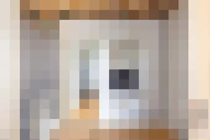 Tuinstraat 87 Krimpen aan den IJssel thumbnail 11