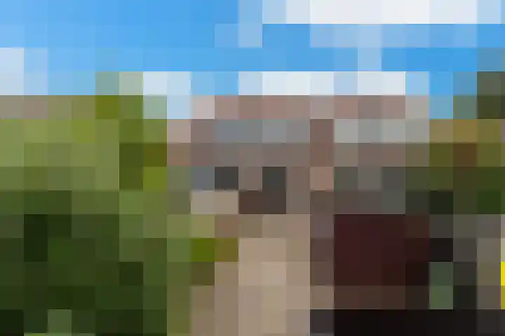 Tuinstraat 87 Krimpen aan den IJssel foto 2