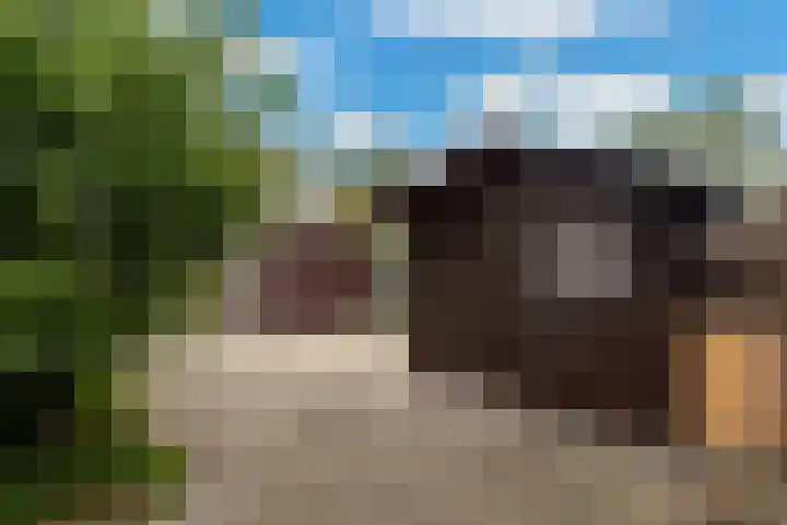 Tuinstraat 87 Krimpen aan den IJssel thumbnail 24