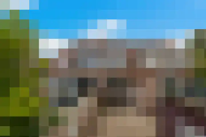 Tuinstraat 87 Krimpen aan den IJssel thumbnail 26