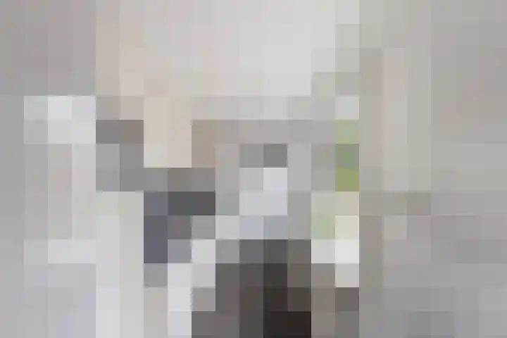 Tuinstraat 87 Krimpen aan den IJssel thumbnail 4