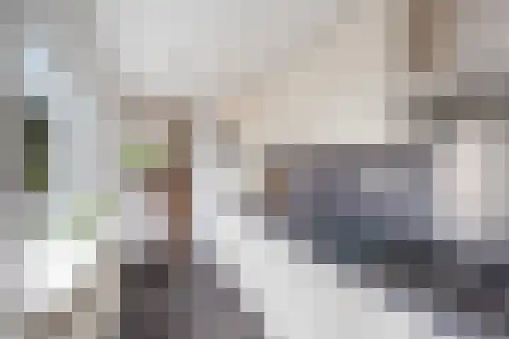 Tuinstraat 87 Krimpen aan den IJssel thumbnail 5