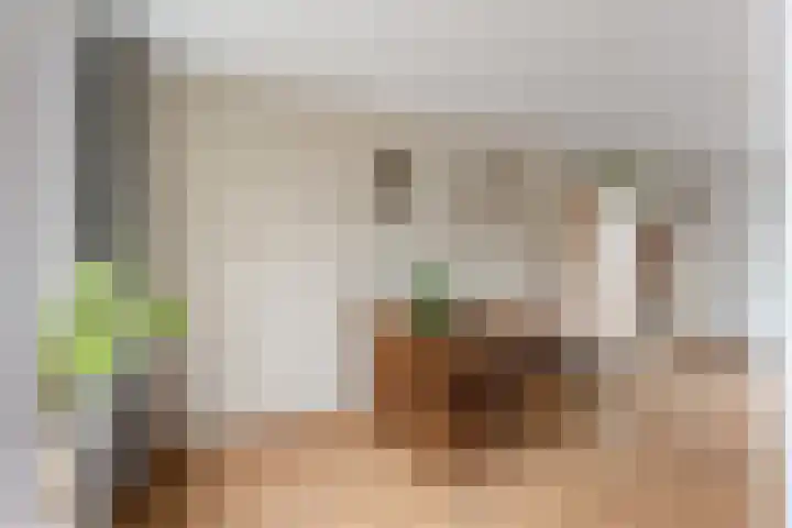 Tuinstraat 87 Krimpen aan den IJssel thumbnail 8