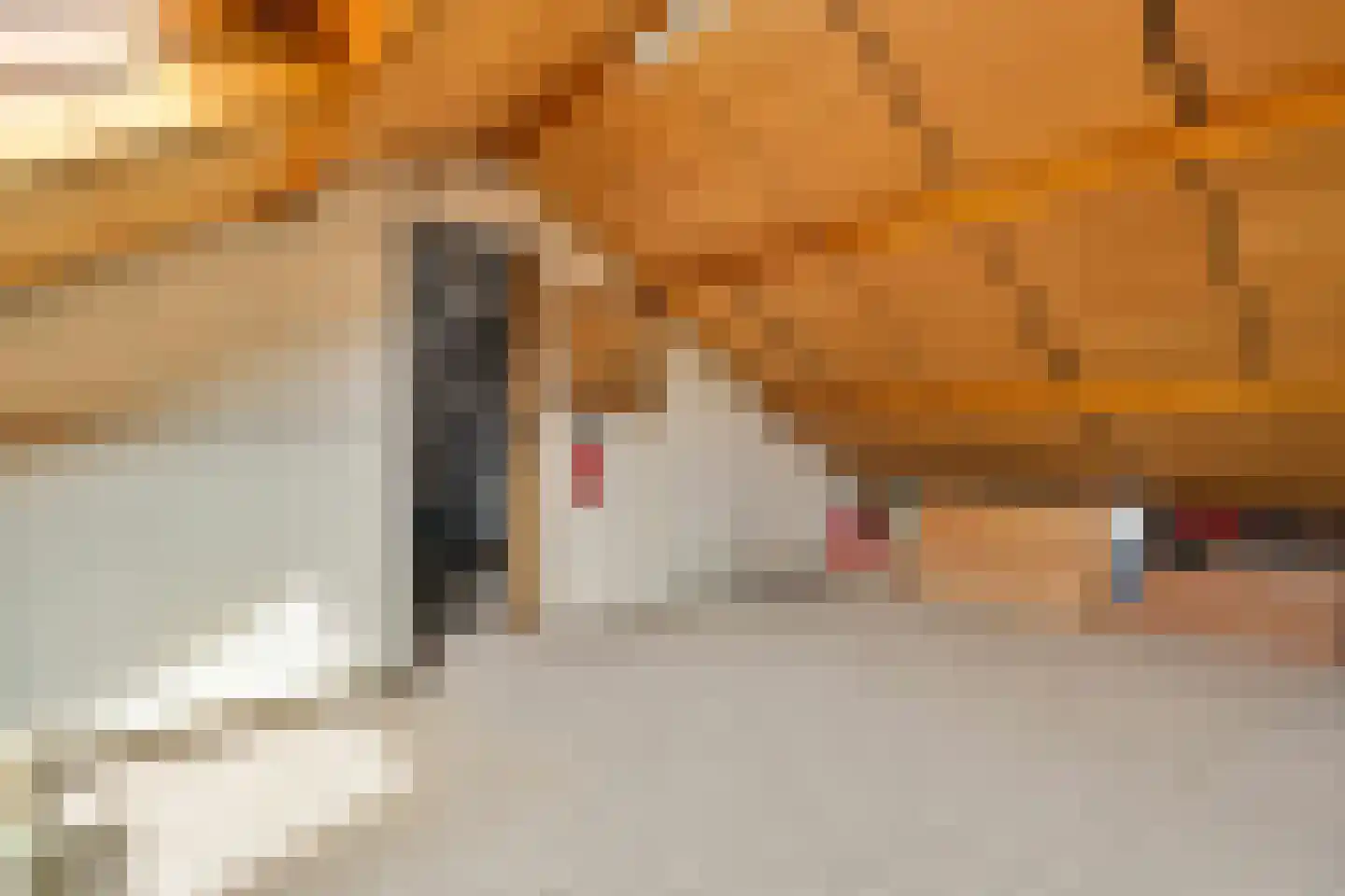Tuinstraat 9 Heerlen thumbnail 22
