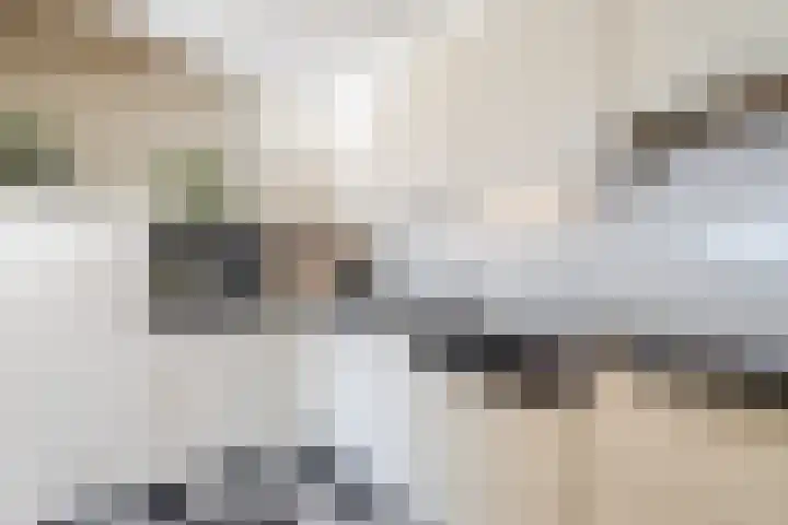 Tuinstraat 9 K Rijen thumbnail 24
