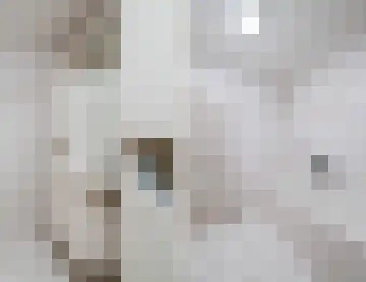 Tuinstraat 9 K Rijen thumbnail 31