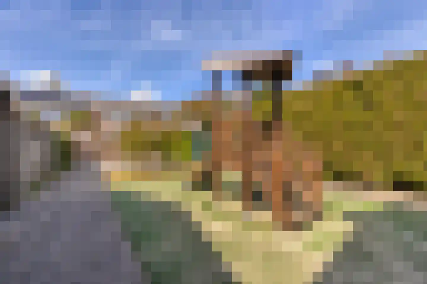 Tuinstraat 9 Poortugaal thumbnail 33